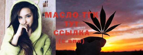 гашик Богородск