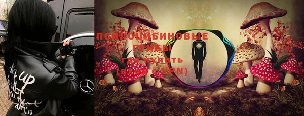 крисы Богданович