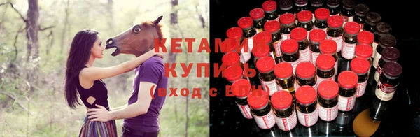 гашик Богородск