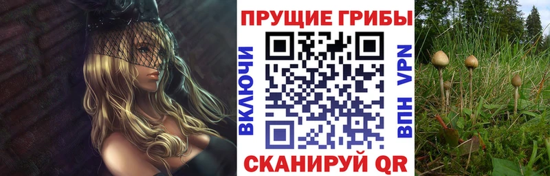 Псилоцибиновые грибы GOLDEN TEACHER  Сланцы 
