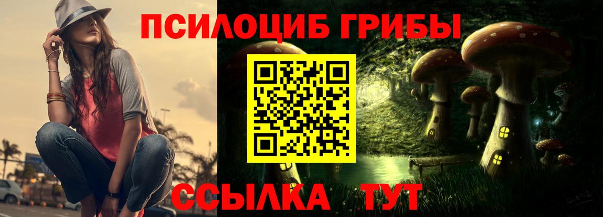 Сланцы  Галлюциногенные грибы прущие грибы  Вход с VPN 